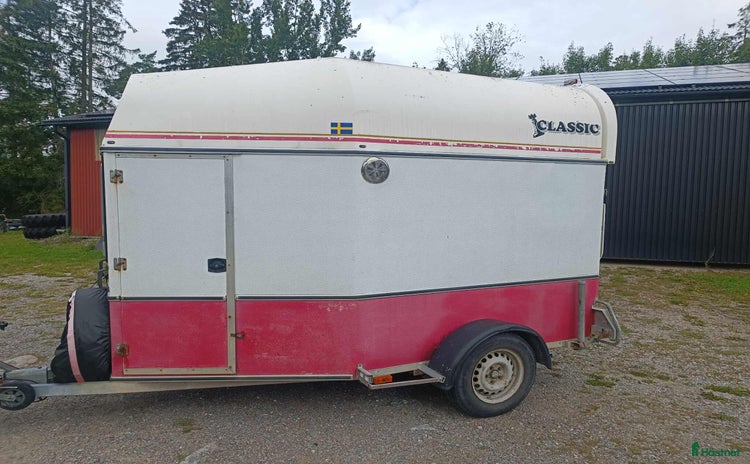 Hästtransporter  fordon & transport till salu i Uppsala - Annons 15