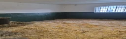  stallplats finnes: Plats i lösdrift  - Annons 5
