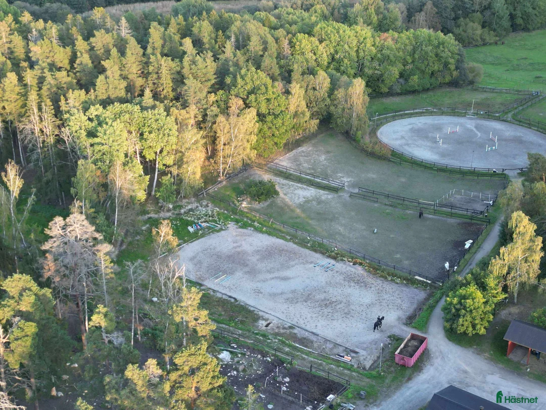  stallplats finnes: Ledig boxplats - Annons 4