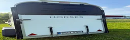 Hästtransporter  fordon & transport till salu: Forzab EQ2 fronturlastning-24/25 - Annons 3