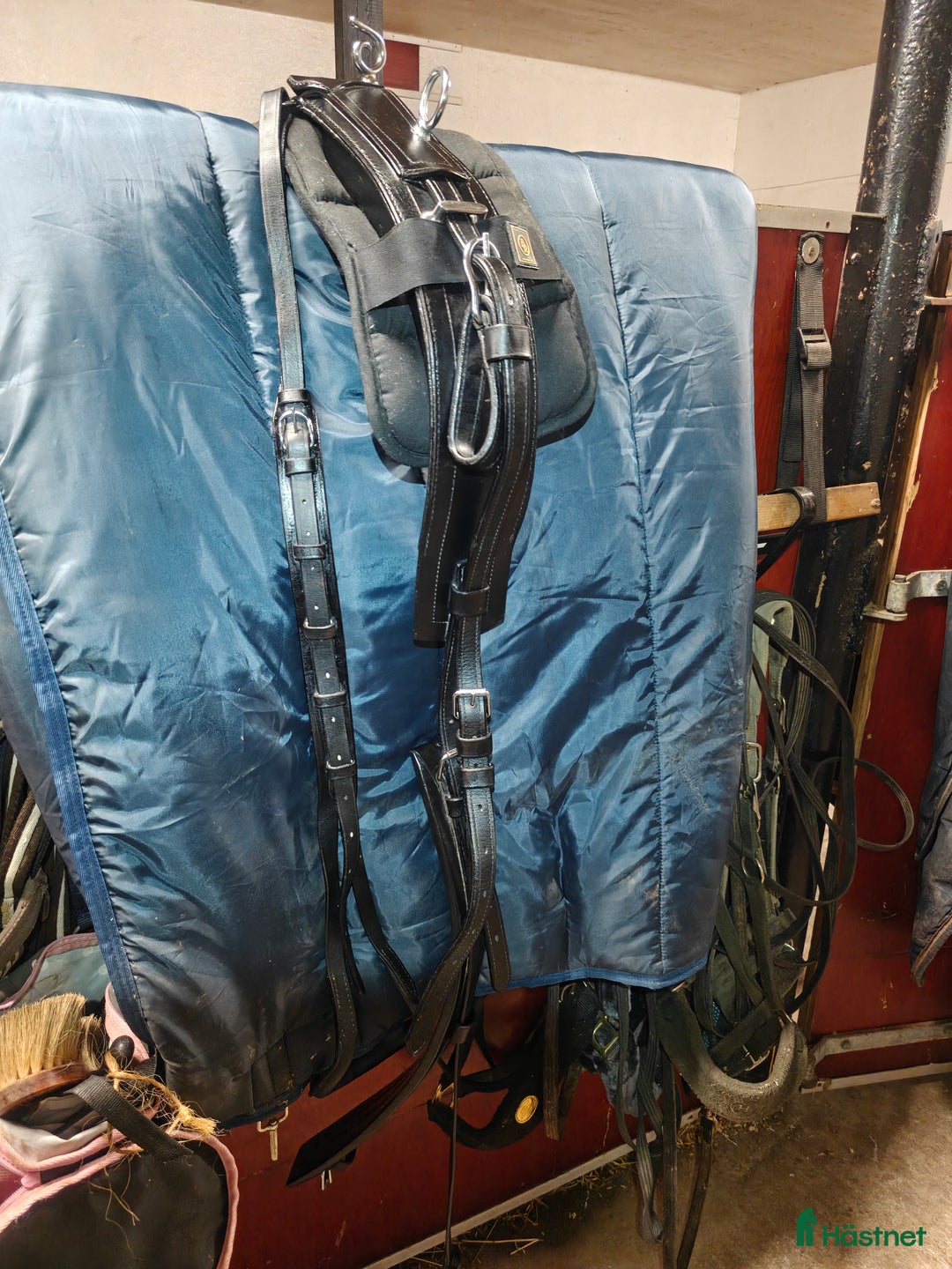 Körselar körning till salu: Maratonsele  i Umeå - Annons 4