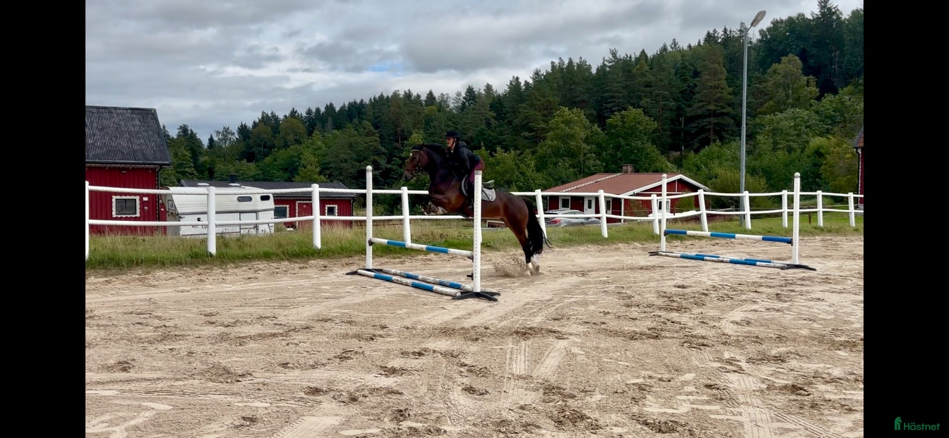  hästar Mycket välutbilda och ridbar hopp ponny - Annons 1