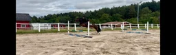Hoppning hästar till salu: Mycket välutbilda och ridbar hopp ponny - Annons 1