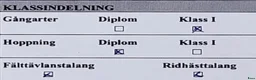 Hoppning hästar till salu: Dröm killen! - Annons 3
