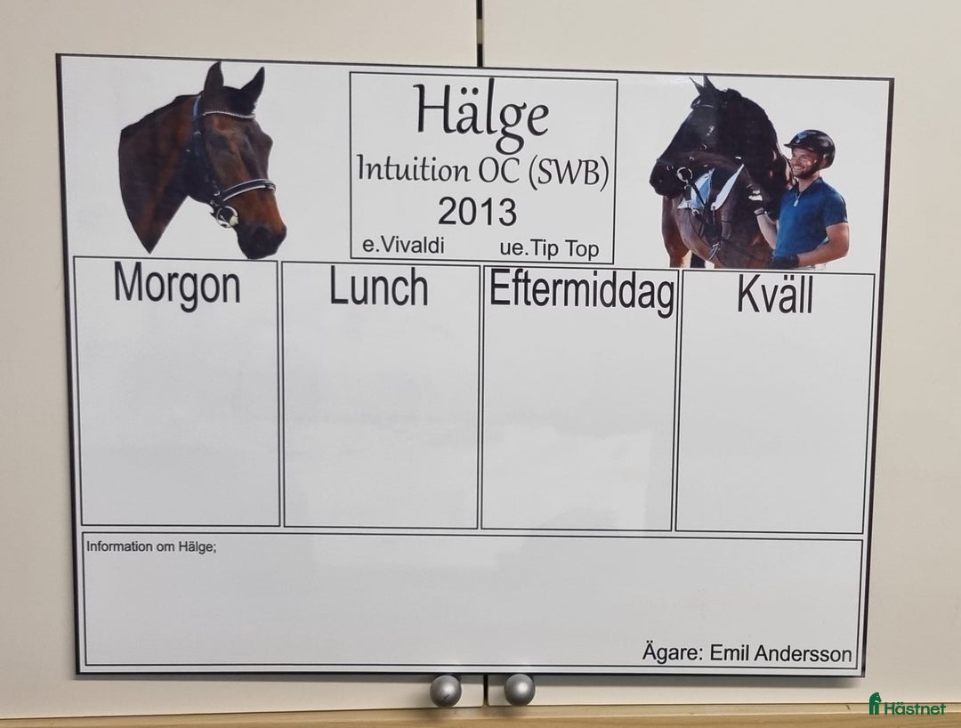 Stallinredning, stängsel & gård övrig utrustning till salu: Skyltar i Mjölby - Annons 2