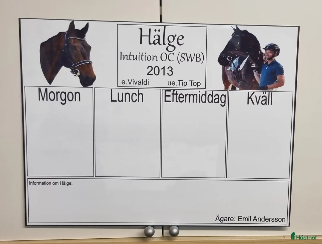 Stallinredning, stängsel & gård övrig utrustning till salu: Skyltar i Mjölby - Annons 2