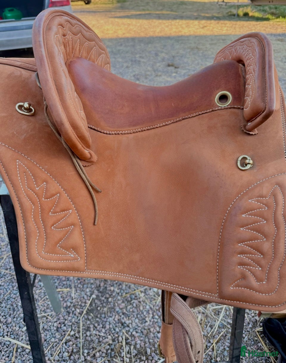 Sadlar hästutrustning Deuber & partner -  Desmond O'Brien de lux  - Annons 23