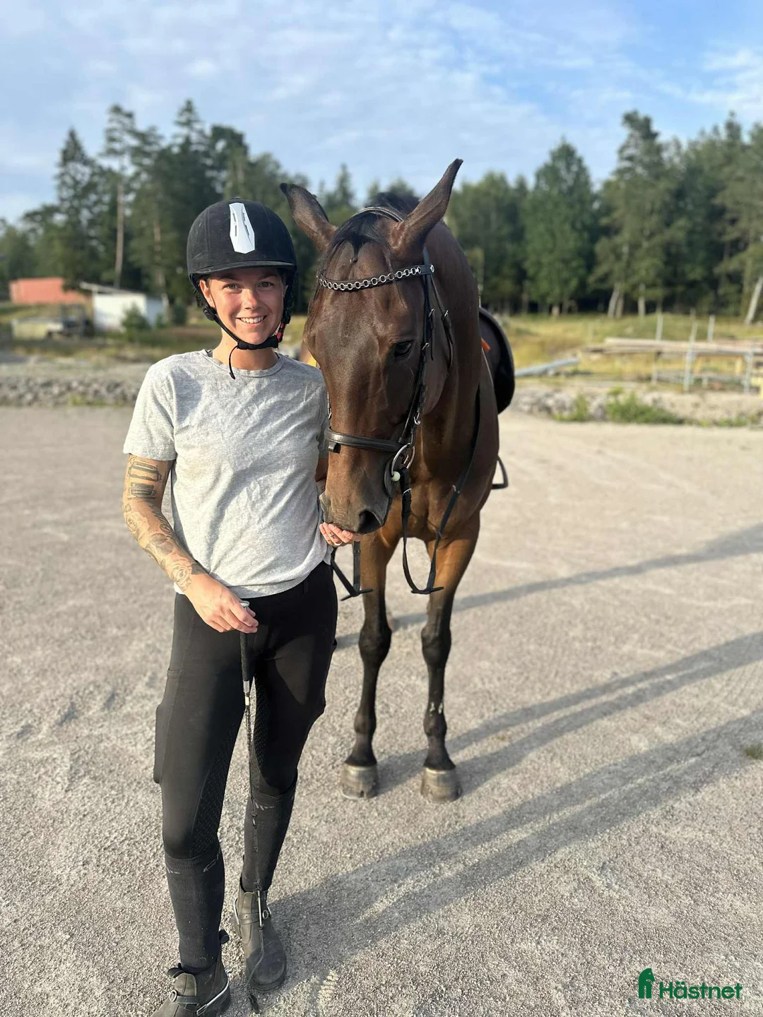 Allround hästar till salu: En kille med personlighet  - Annons 2