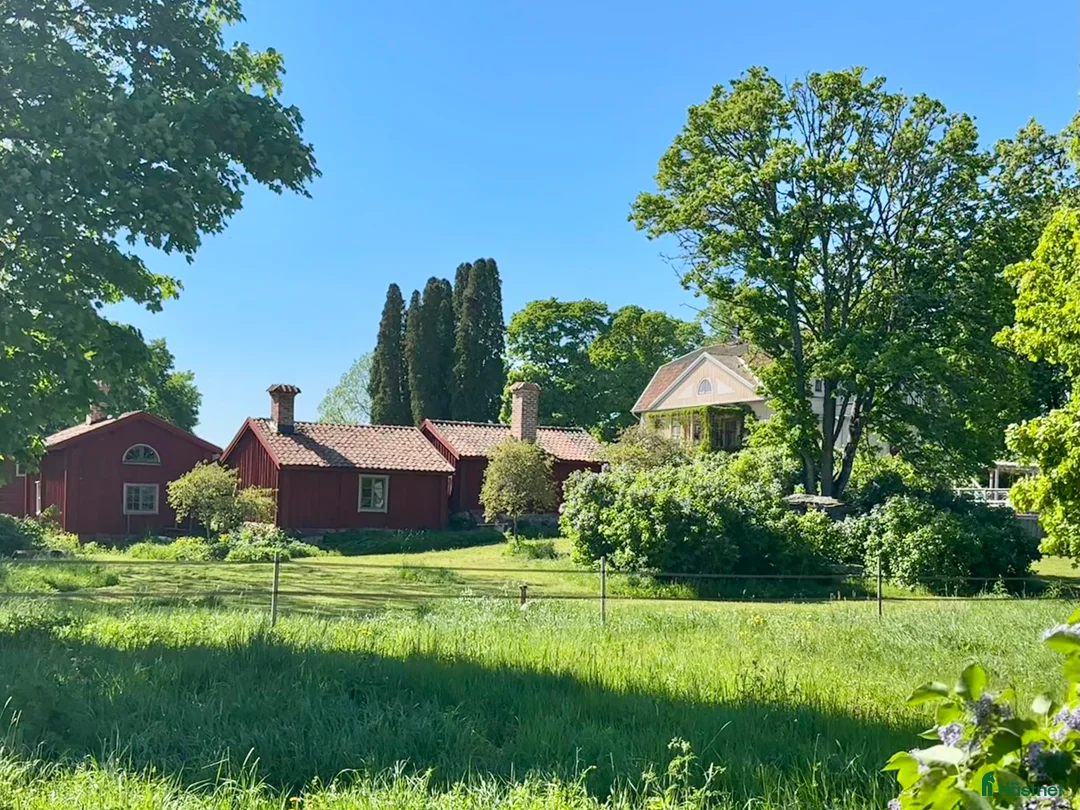  stallplats finnes: Sommarbete - Annons 2