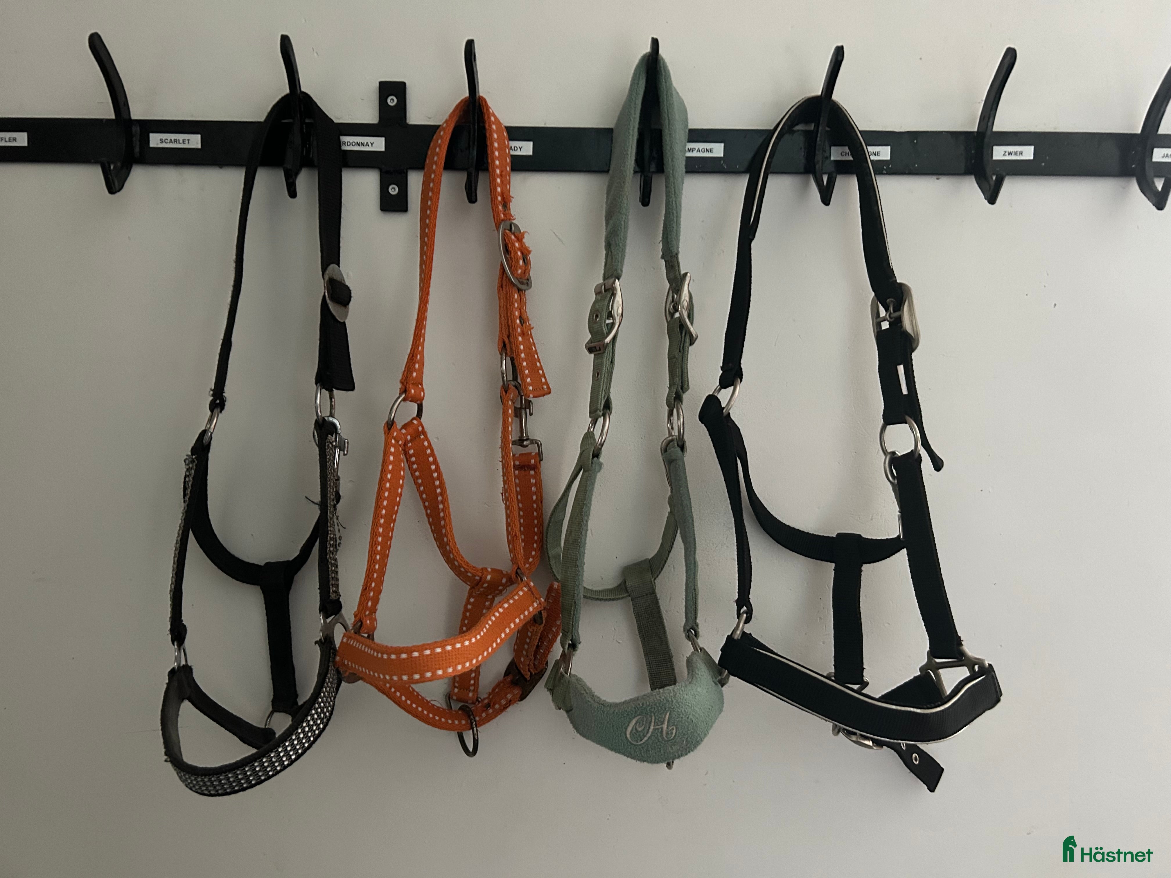 Övrig Hästutrustning hästutrustning till salu: 4 cob grimmor - Annons 18