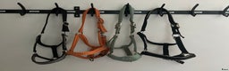 Övrig Hästutrustning hästutrustning till salu: 4 cob grimmor i Vellinge - Annons 1