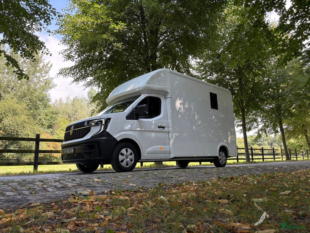 Hästlastbilar  fordon & transport till salu: Lehel 2 hästars classic  i Teckomatorp - Annons 2