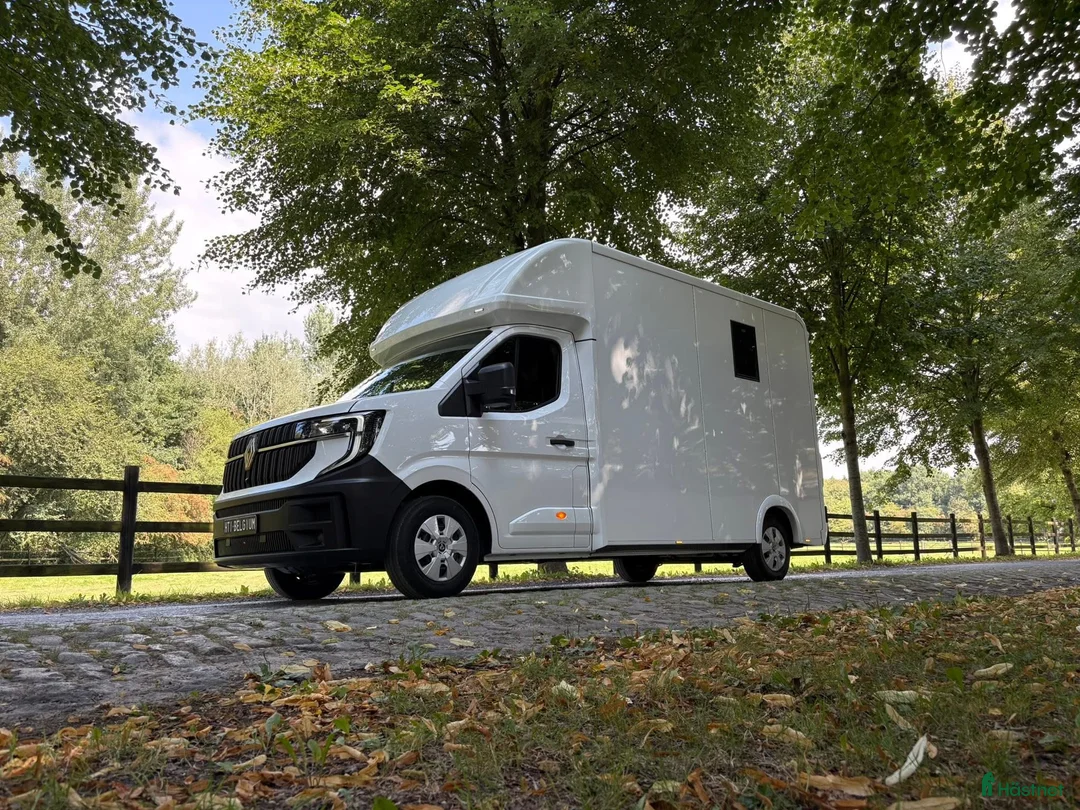 Hästlastbilar  fordon & transport till salu: Lehel 2 hästars classic  i Teckomatorp - Annons 2