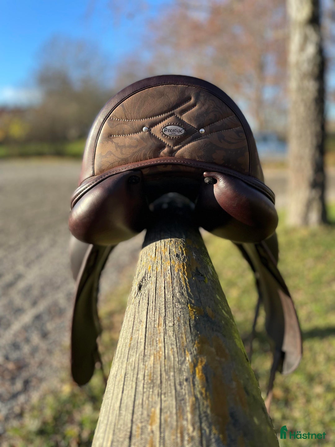 Sadlar hästutrustning till salu: Dressyrsadel Prestige Philosophy - Annons 4