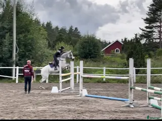 hästar ( kan eventuellt tänka oss byte) - Annons 1
