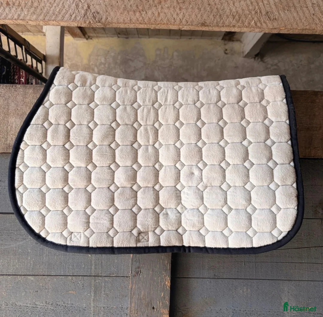 Schabrak & Vojlockar hästutrustning till salu: Equiline hoppschabrak till ponny - Annons 4