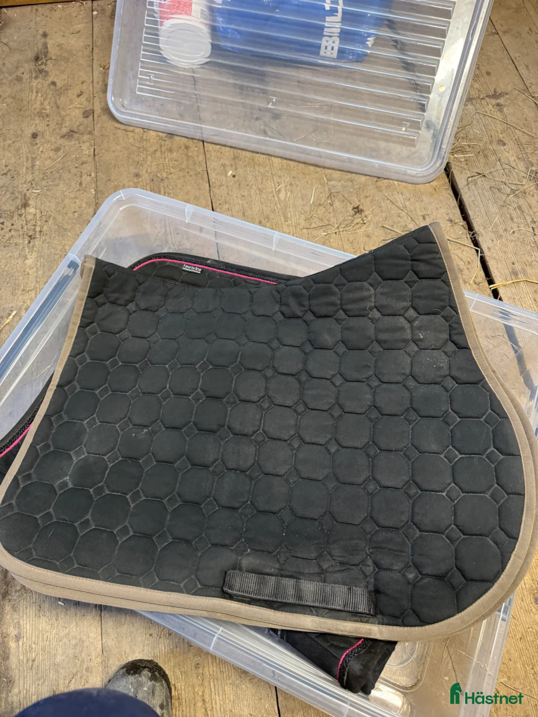 Schabrak & Vojlockar hästutrustning till salu: Fint Equiline set - Annons 4