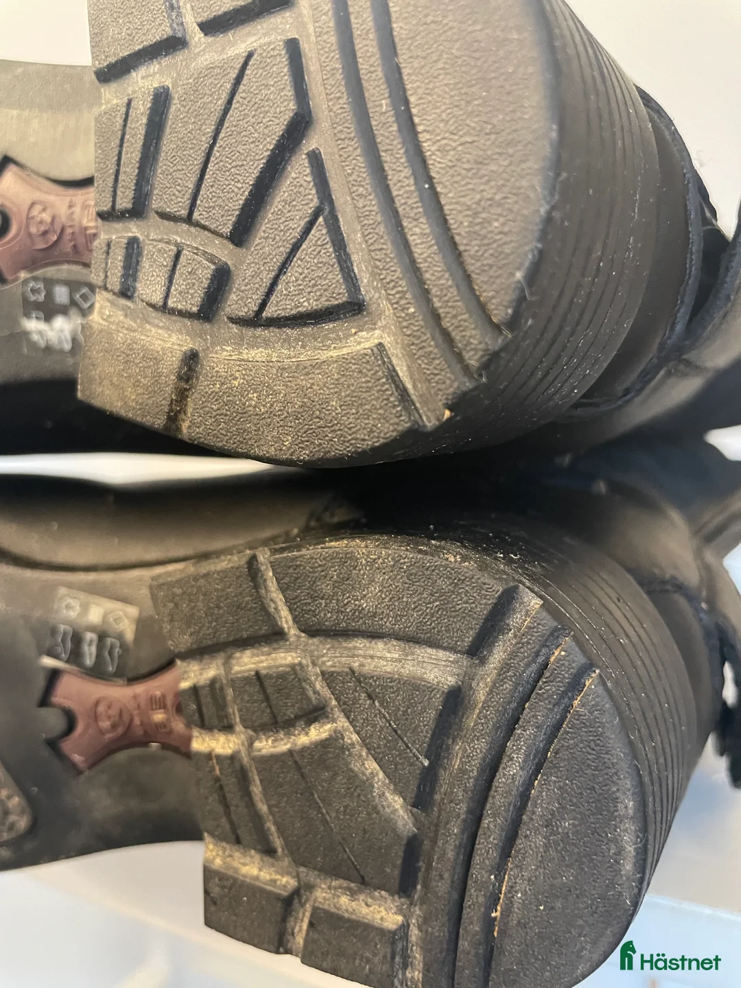 Ridstövlar ryttarutrustning till salu: Vinterridstövlar Ariat storlek 37 i Stockholm - Annons 15