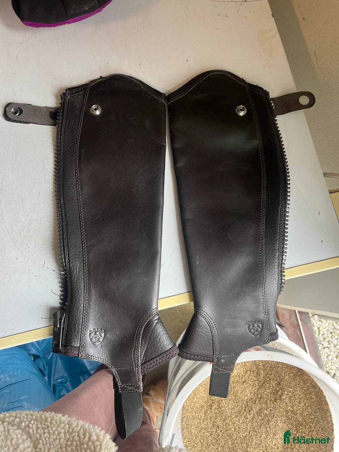 Övrig Ryttarutrustning ryttarutrustning till salu: Ariat chaps - Annons 1