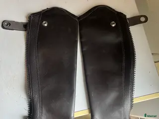 Övrig Ryttarutrustning ryttarutrustning till salu: Ariat chaps - Annons 1