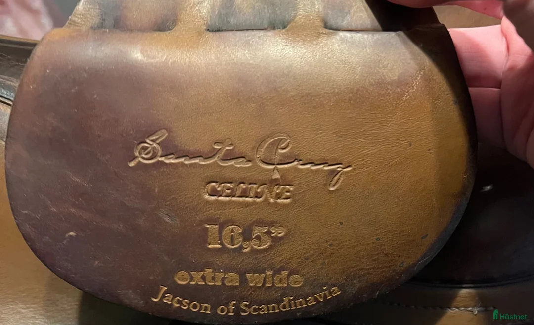 Sadlar hästutrustning till salu: Santa Cruz Celine 16,5” extra vid - Annons 7