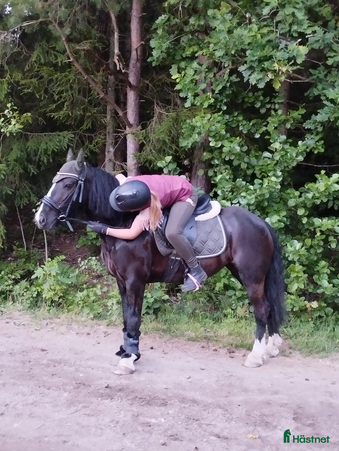  stallplats finnes: Sommarbete 2026 sökes - Annons 1