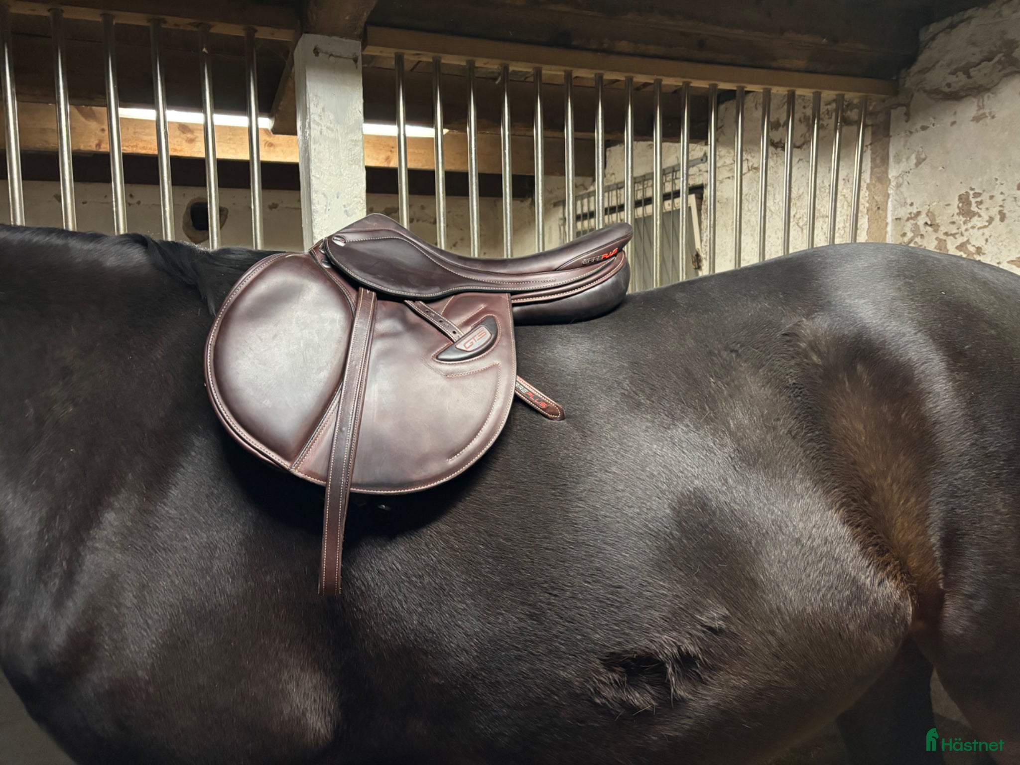 Sadlar hästutrustning Mycket fin Erreplus sadel - Annons 11