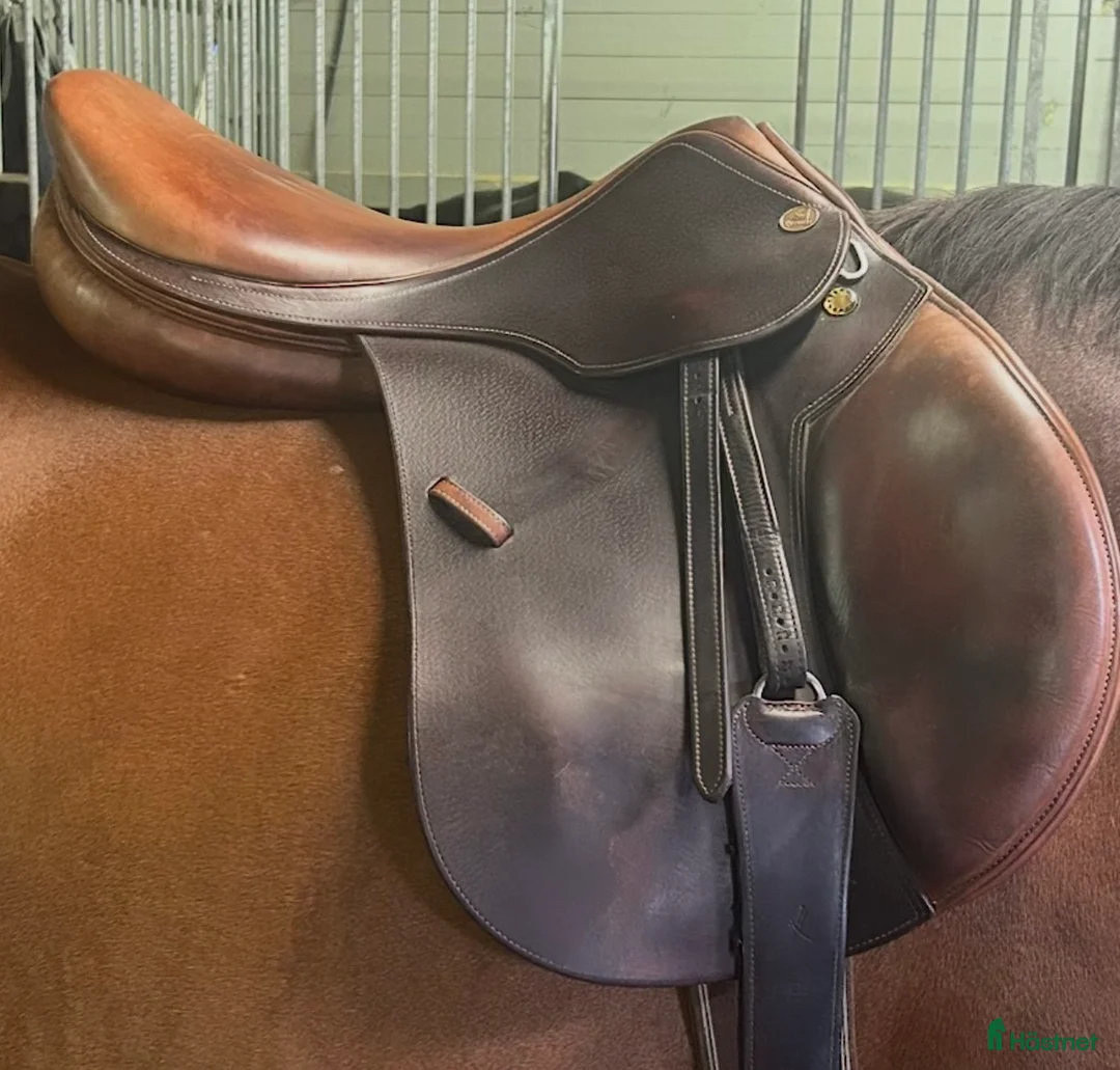 Sadlar hästutrustning till salu: Prestige Paris - Annons 2