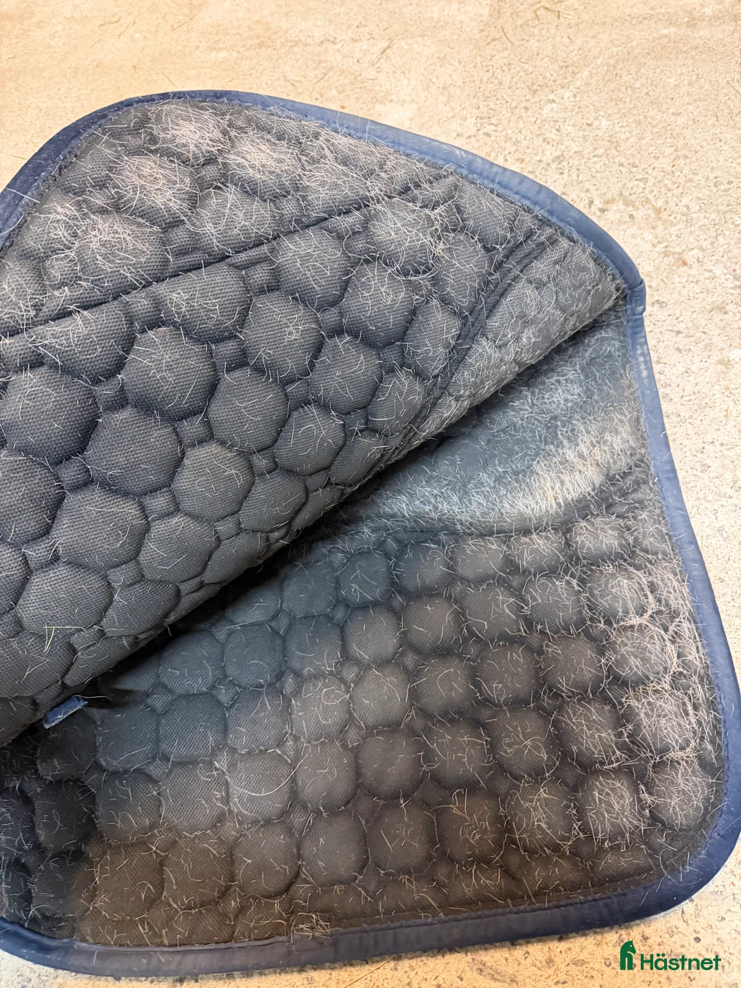 Schabrak & Vojlockar hästutrustning till salu: Kingsland schabrak - Annons 2