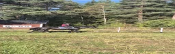  foderhäst finnes: Kallblodssto till Gotland / Öland  - Annons 3