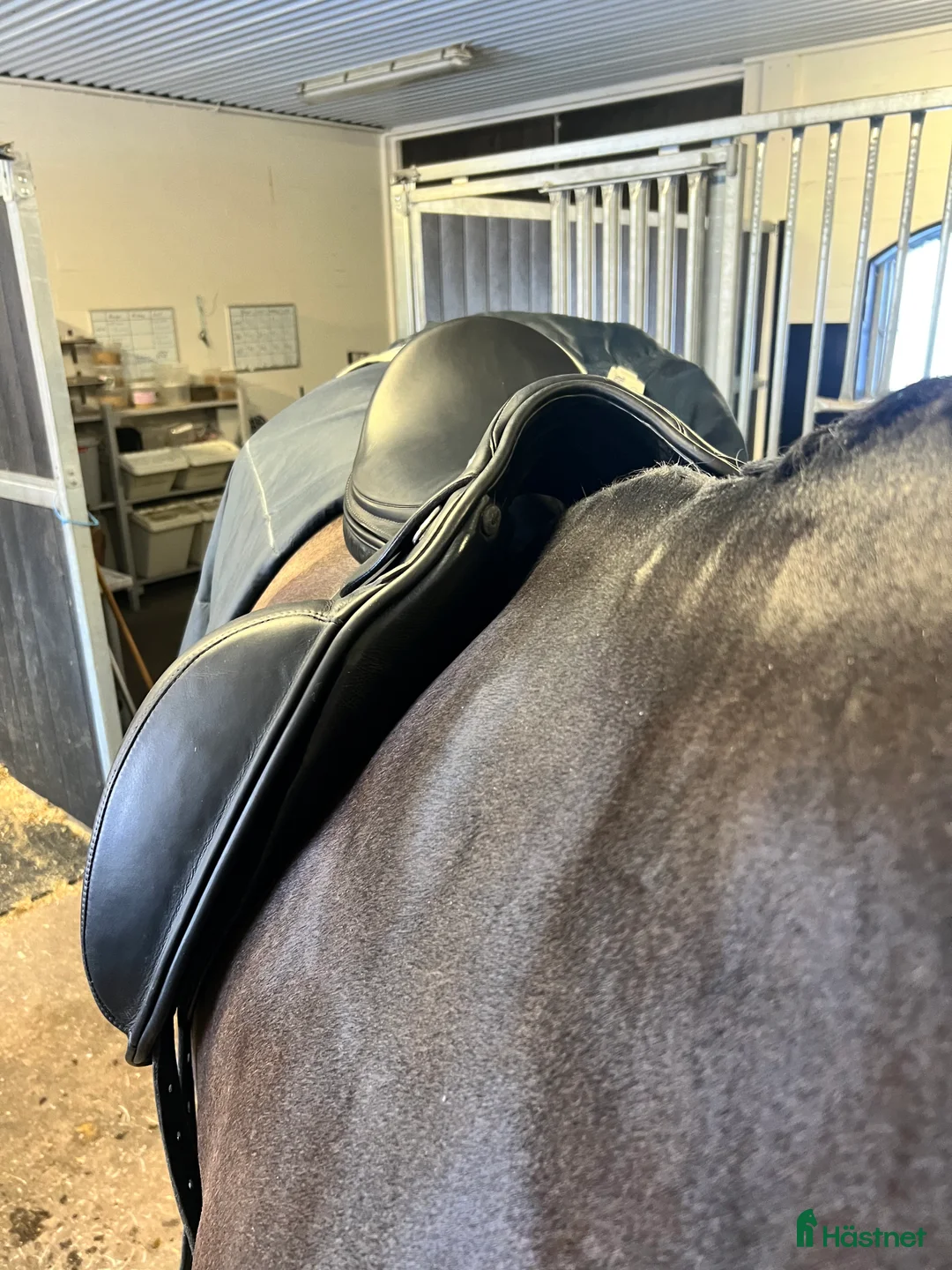 Sadlar hästutrustning till salu: Begagnad Prestige D1 K, i fint skick!  - Annons 3