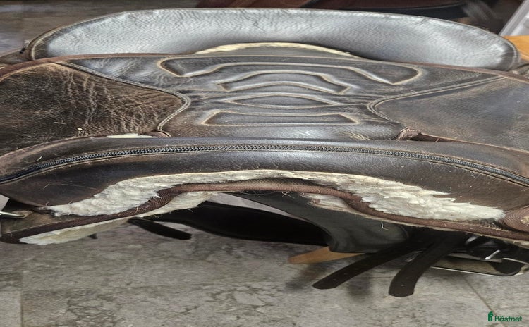 Sadlar hästutrustning till salu i Skurup - Annons 7