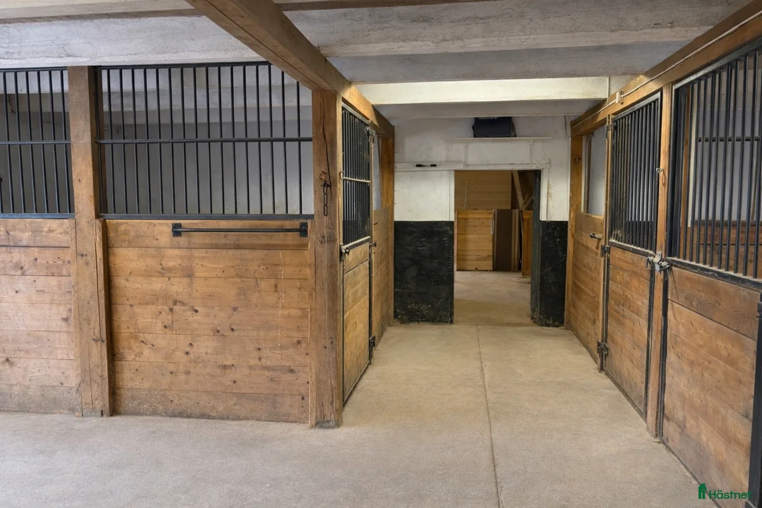 stallplats finnes: Litet lugnt stall i Halmstad - Annons 2