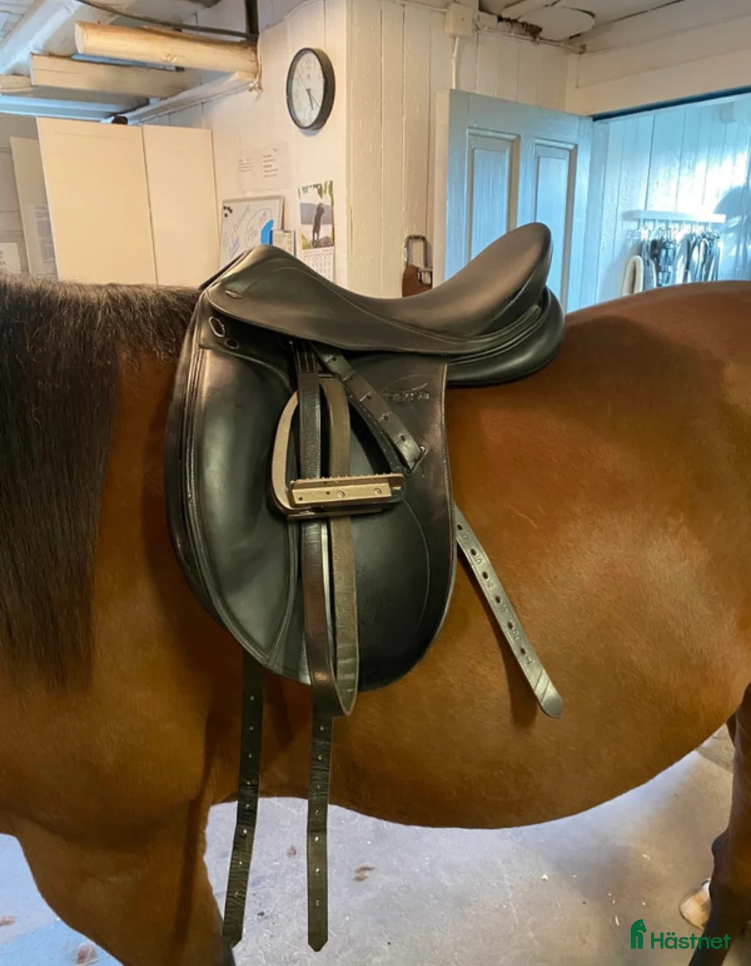 Sadlar hästutrustning till salu: DRESSYR SADEL i Tidaholm - Annons 1