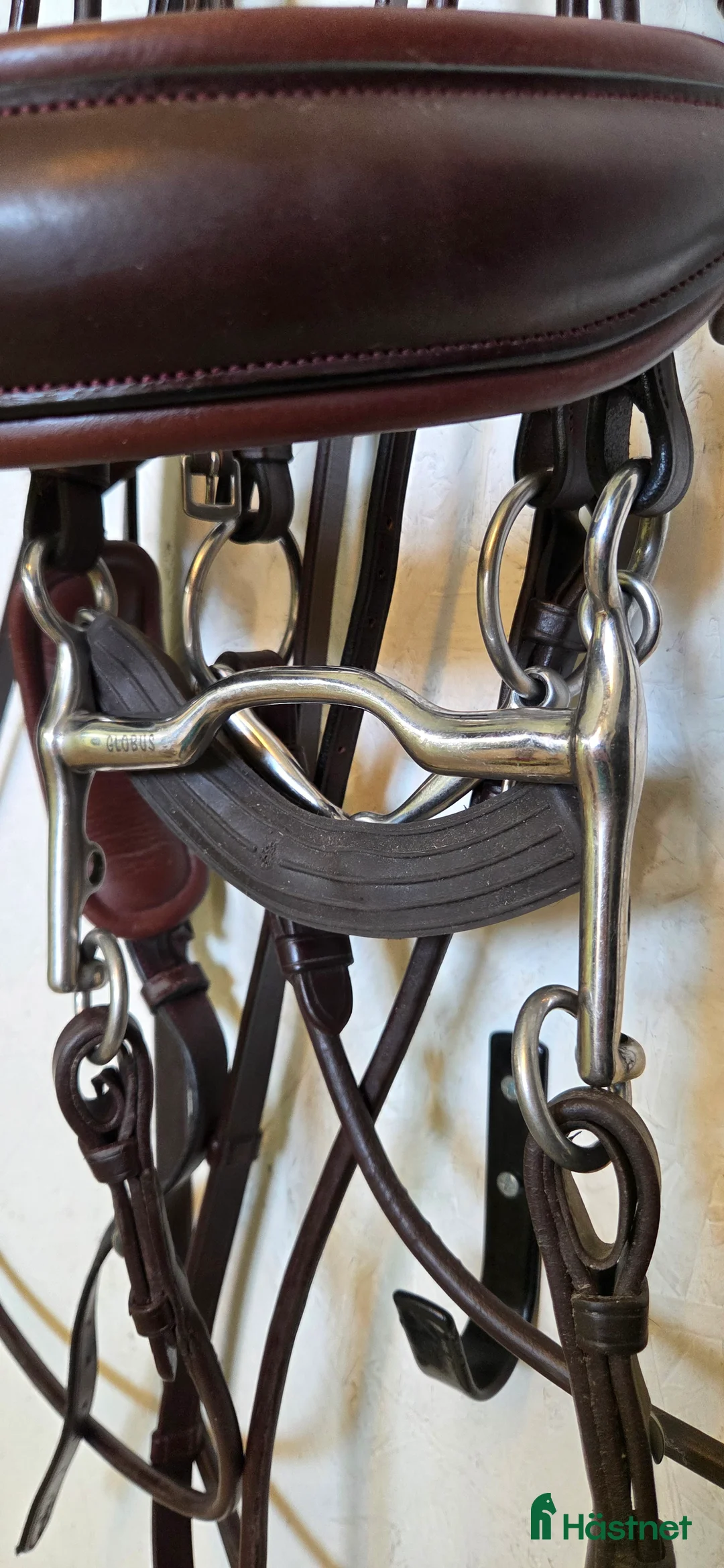 Träns hästutrustning till salu: Dyon kandar brun nytt!  - Annons 2