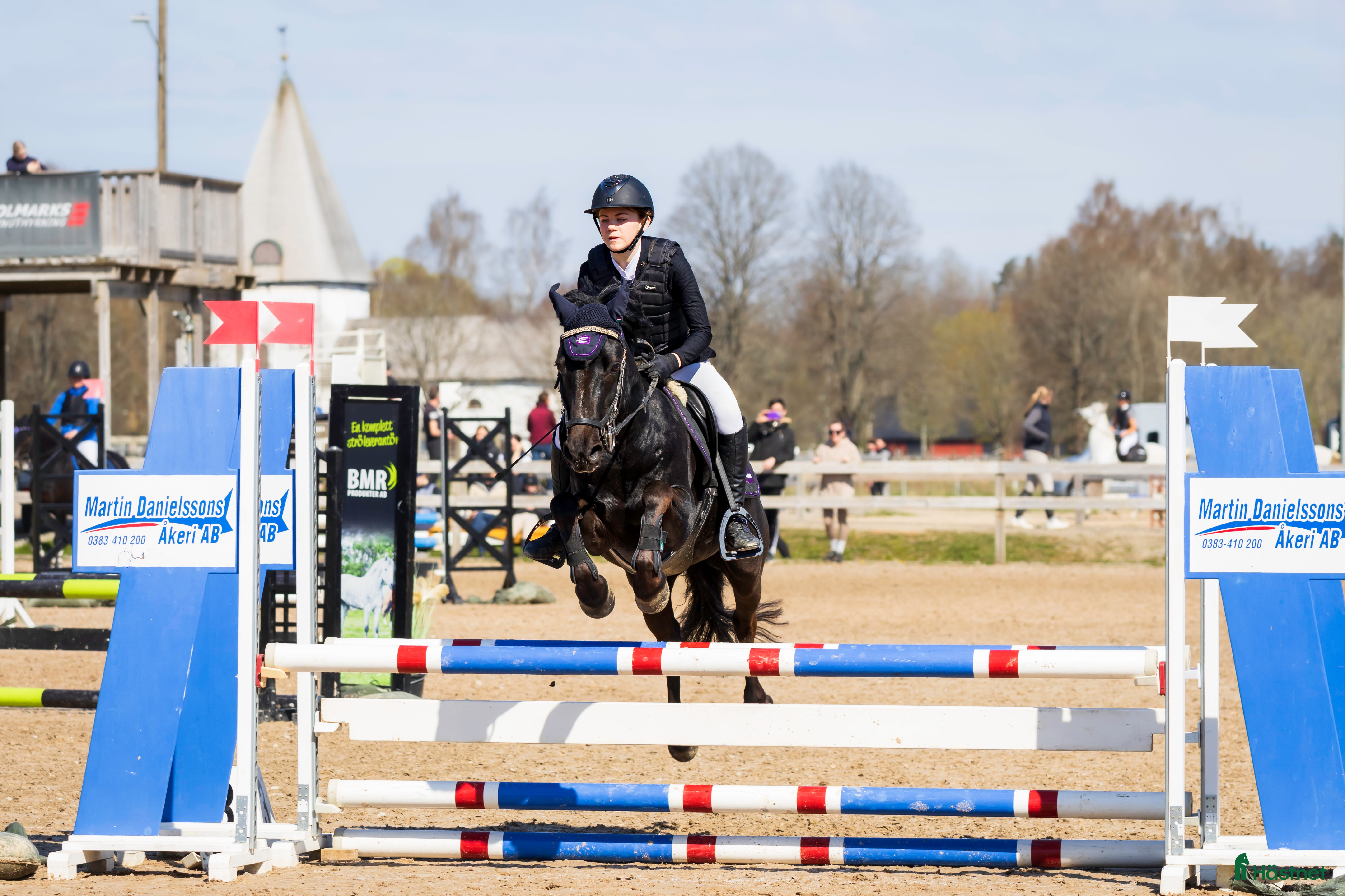  hästar Snäll c-ponny till salu i Bromölla - Annons 15