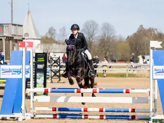 hästar Snäll c-ponny till salu i Bromölla - Annons 15