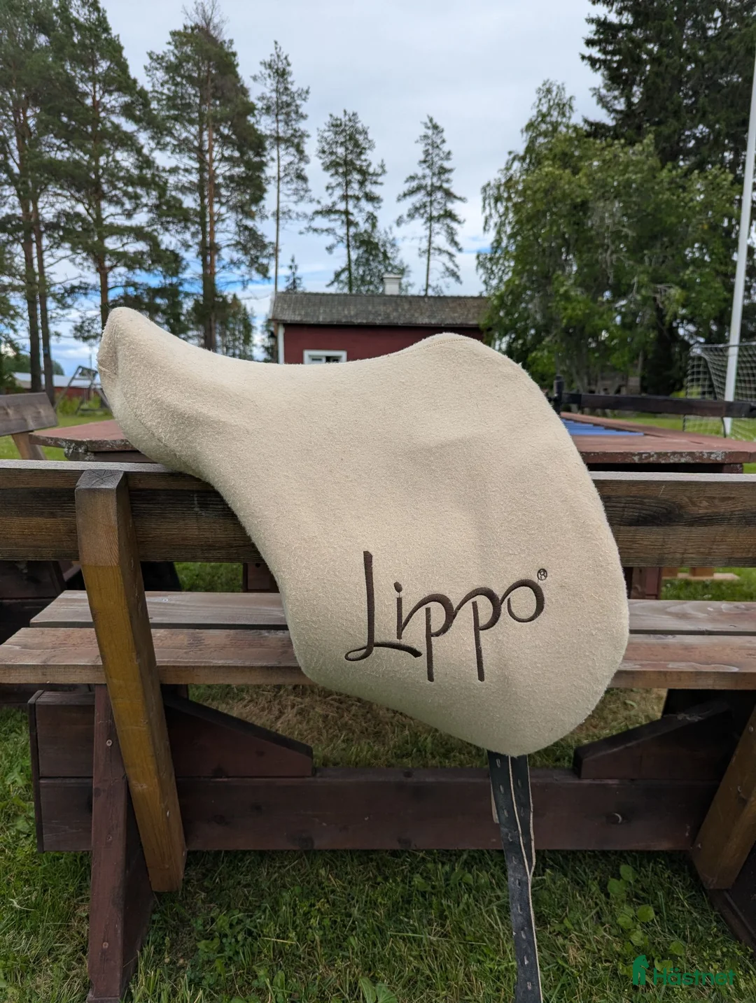 Sadlar hästutrustning till salu: Lippo Leia islandssadel i Burträsk - Annons 2