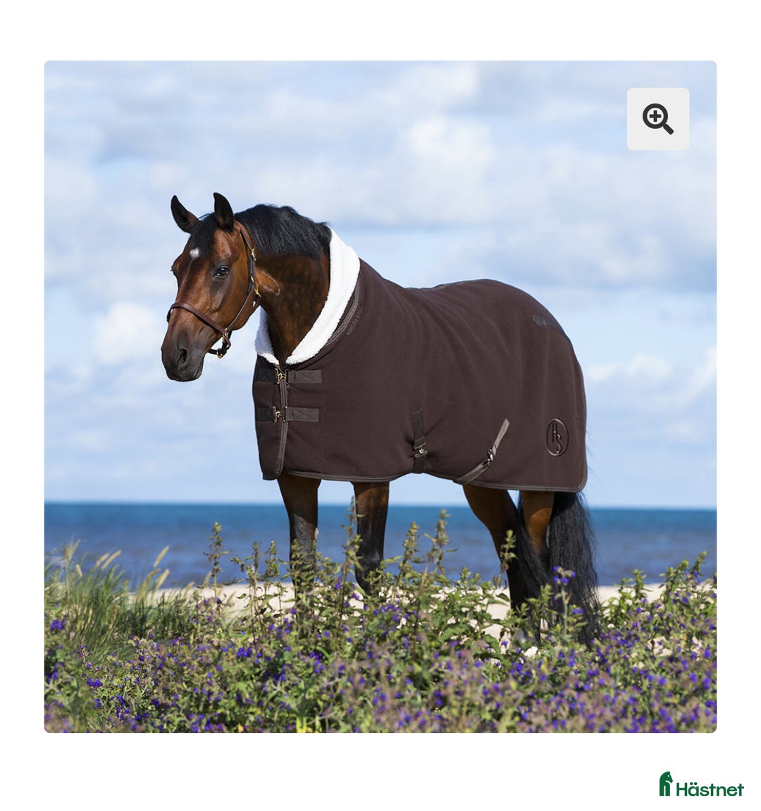 Täcken hästutrustning till salu: Täcken FINT SKICK i Hudiksvall - Annons 1