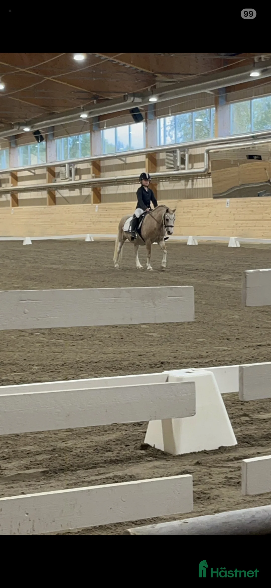 Allround hästar till salu: B-ponny sto - Annons 1