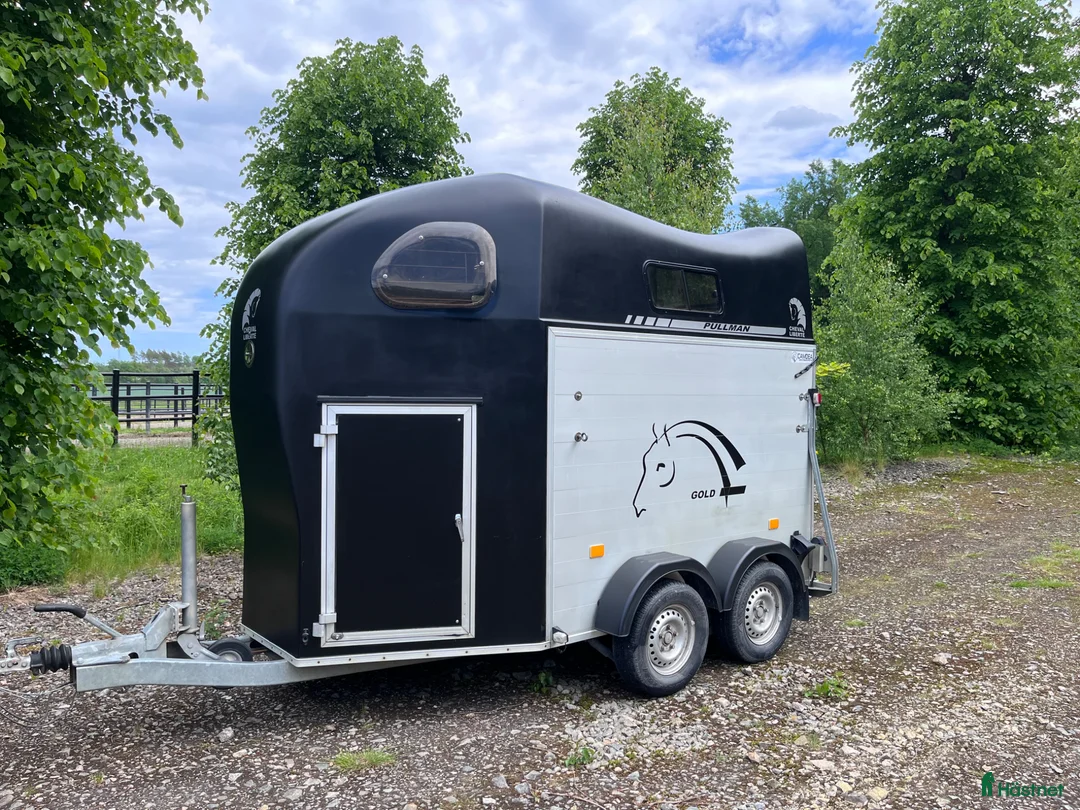 Hästtransporter  fordon & transport till salu: Cheval Gold Pullman m. Sadelkammare-14 - Annons 1