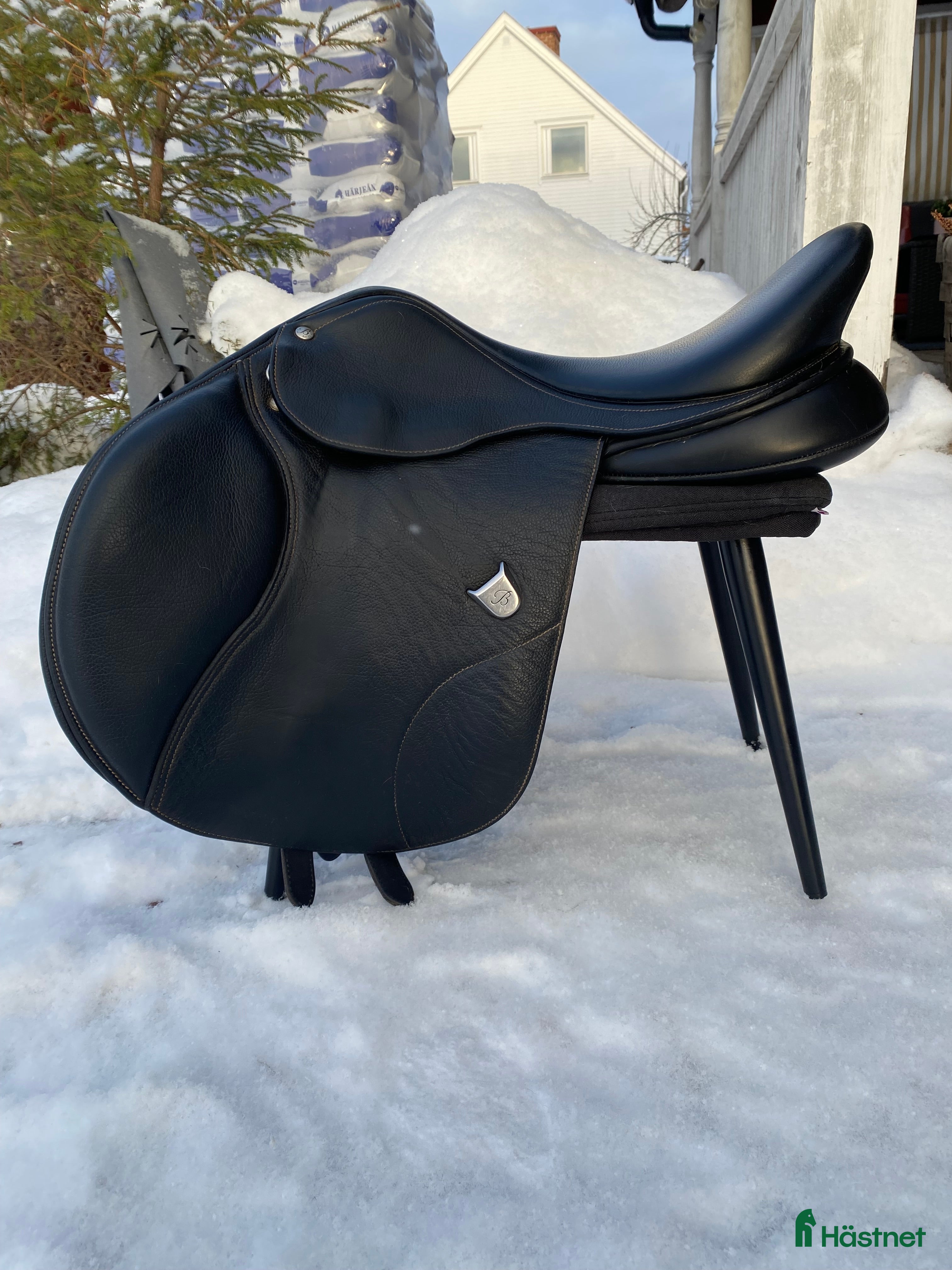 Sadlar hästutrustning Bates elevation ds hoppsadel - Annons 16