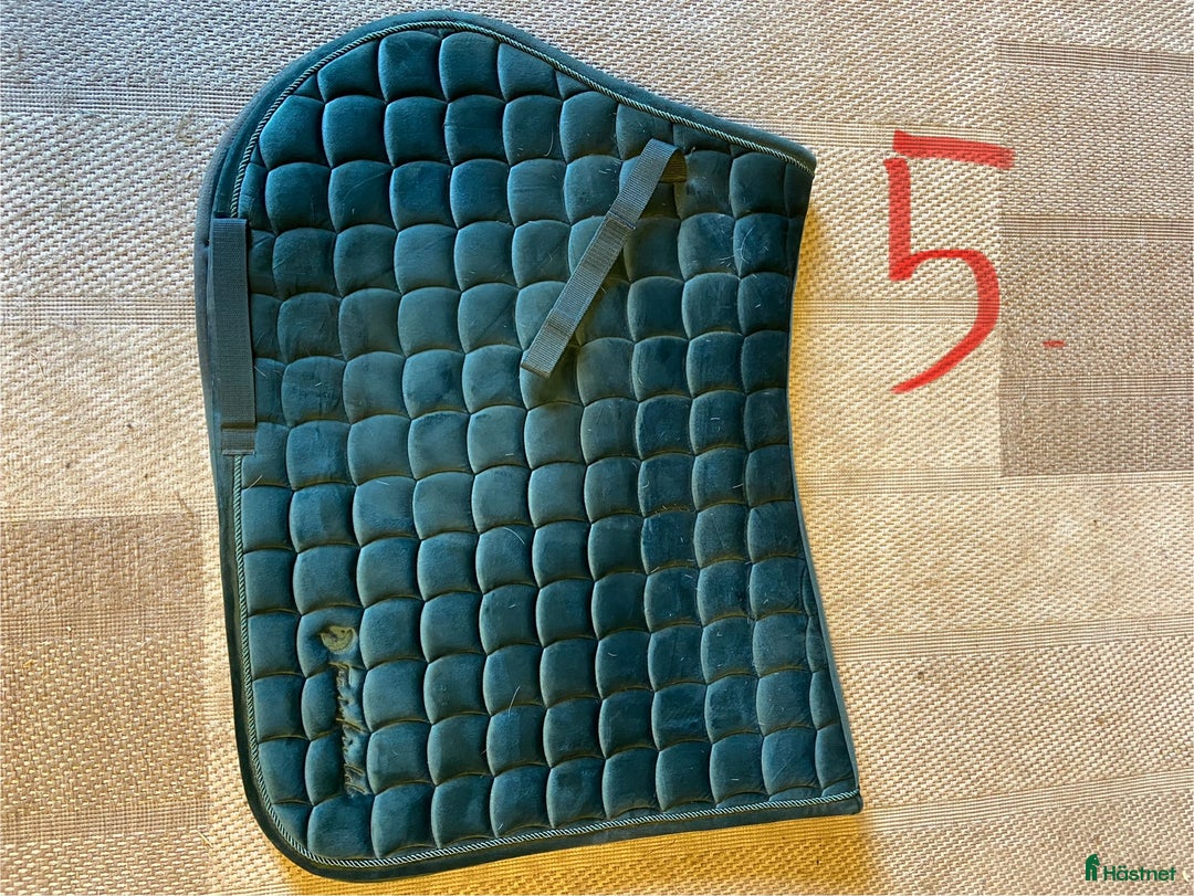 Schabrak & Vojlockar hästutrustning till salu: Schabrak  i Bollebygd - Annons 5