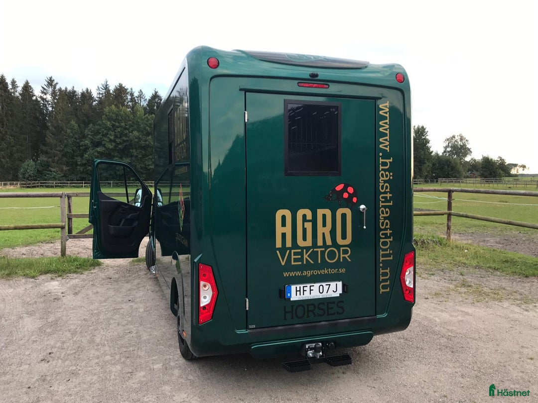 Hästlastbilar  fordon & transport till salu: STX 3-sits stuterimodell -mycket välvårdad! i Lidköping - Annons 7