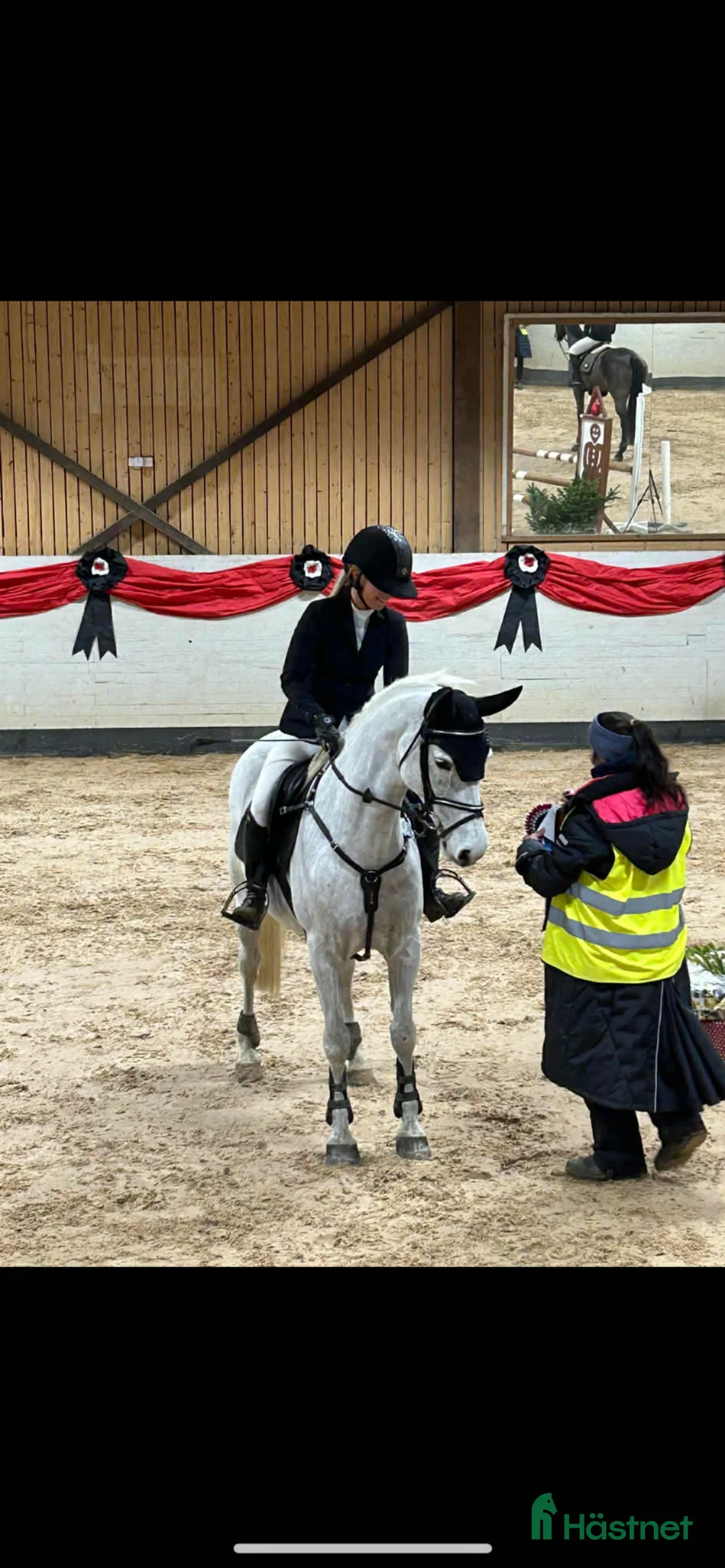 Hoppning hästar till salu: Vackert C-ponny sto - Annons 1