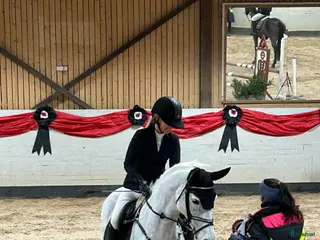 hästar Vackert C-ponny sto - Annons 6