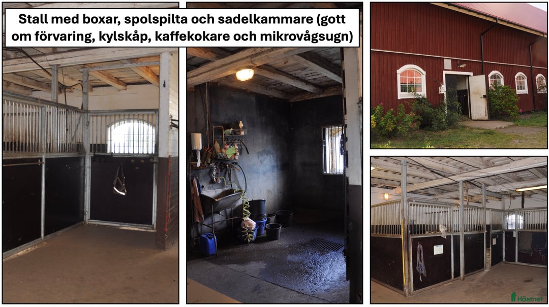  stallplats finnes: Lediga stallplatser i Skövde - Annons 4