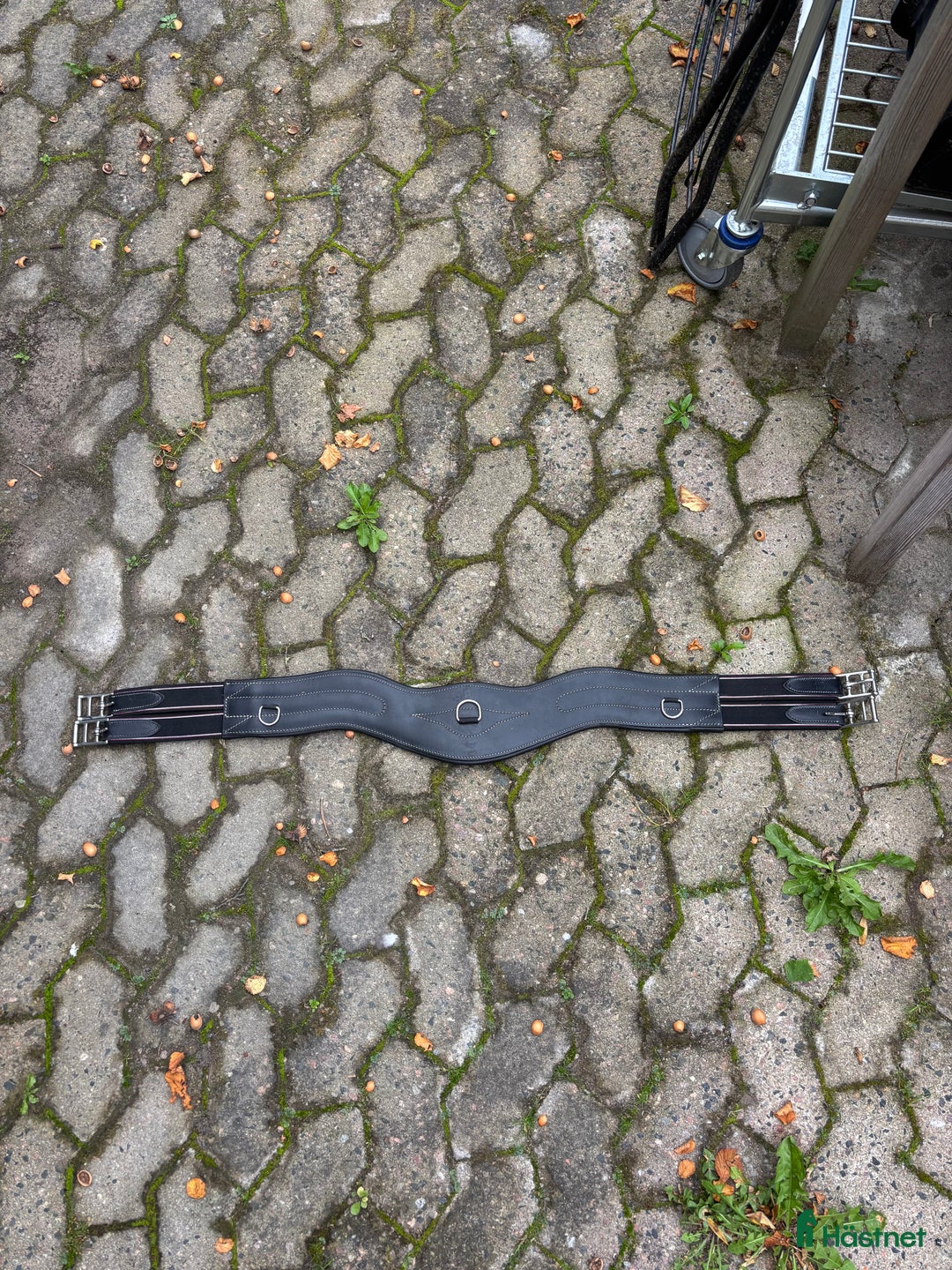 Sadeltillbehör hästutrustning till salu: Sadelgjord i Eslöv - Annons 1