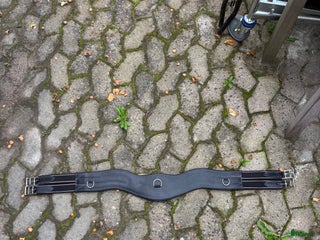 Sadeltillbehör hästutrustning till salu: Sadelgjord i Eslöv - Annons 2