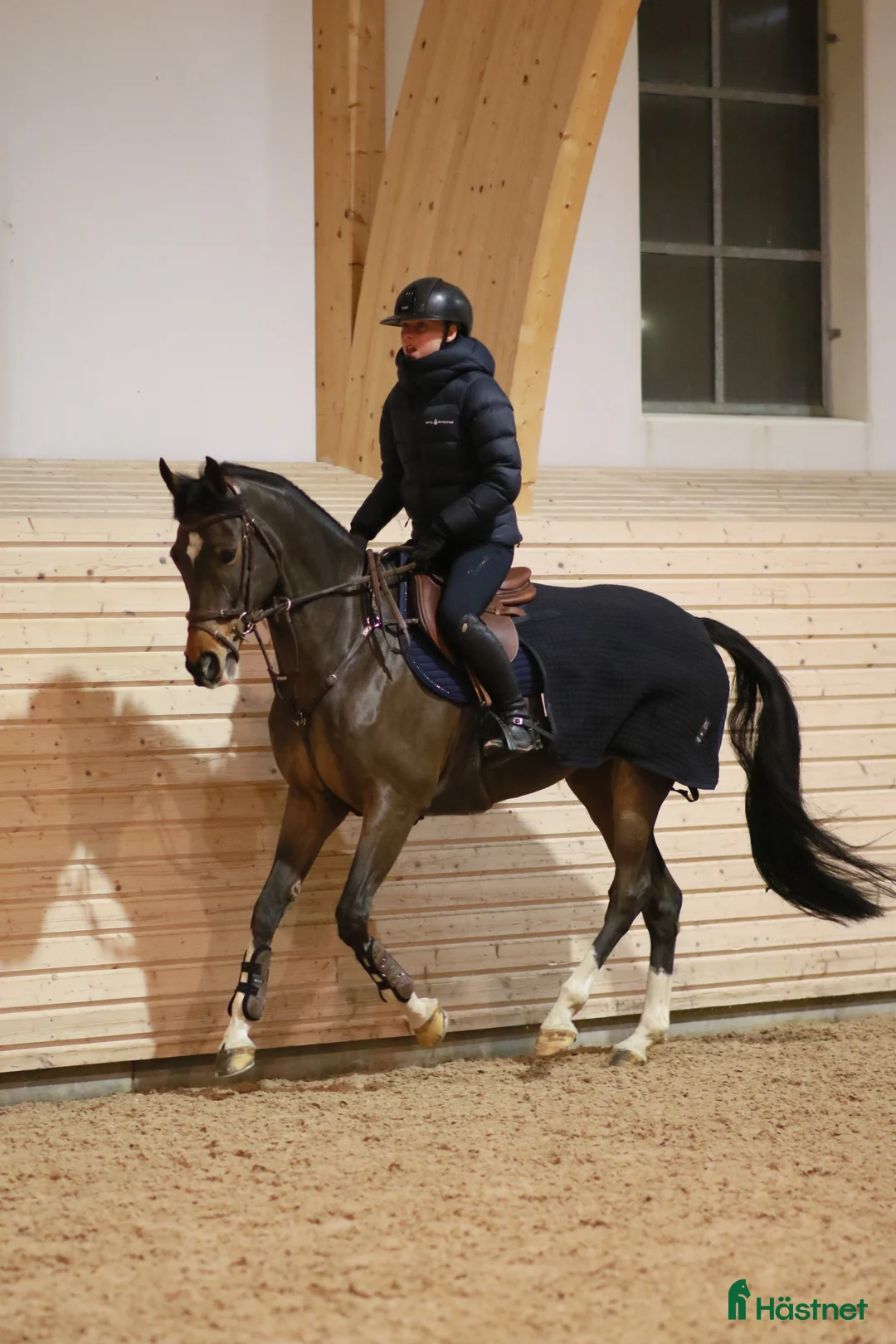 Allround hästar till salu: 12 år, valack, 148 cm - Annons 1